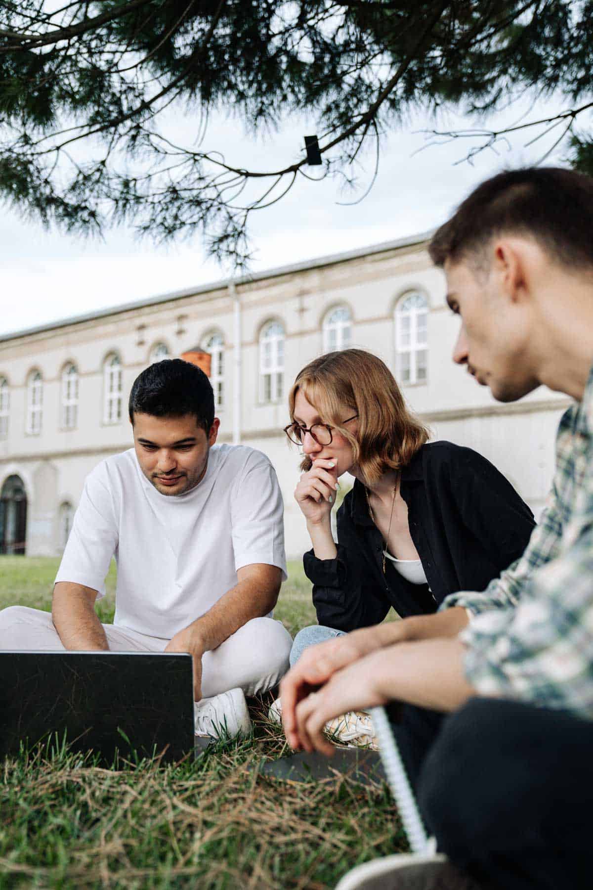 University students studying outdoors